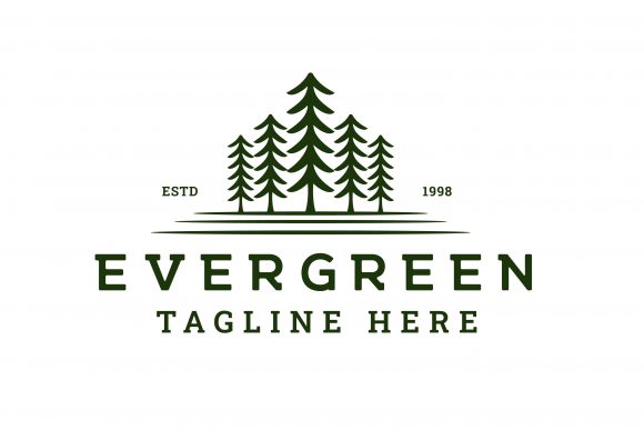 Pine, Spruce Tree Vintage Hipster Logo Design: A Vector-Based Asset
